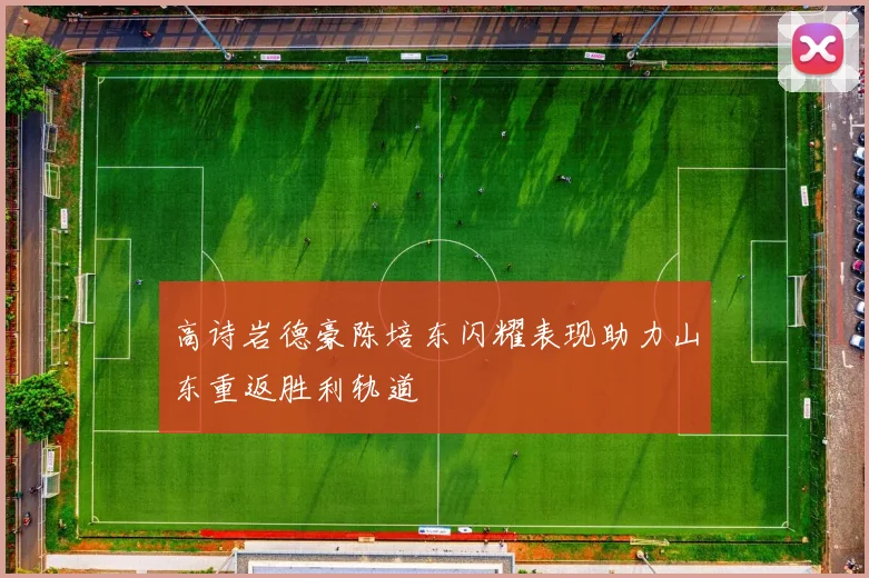 高诗岩德豪陈培东闪耀表现助力山东重返胜利轨道